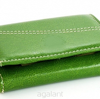 Elegancki portfel damski z biglem, skórzany PD-013 BV Green