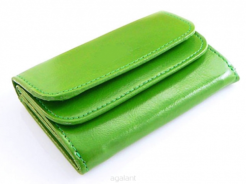 Elegancki portfel damski z biglem, skórzany PD-022 BV Green