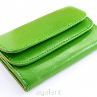 Elegancki portfel damski z biglem, skórzany PD-022 BV Green