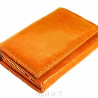 Elegancki portfel damski z biglem, skórzany PD-013 BV Słoneczko