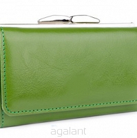Elegancki portfel damski z biglem, skórzany PD-003 BV Zielony
